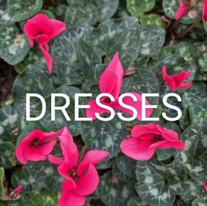 DRESSES